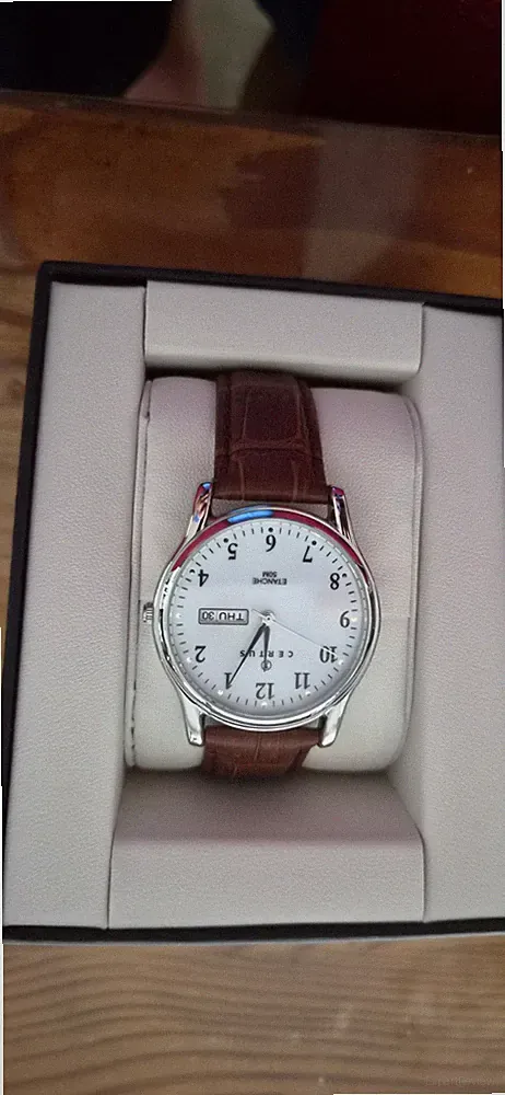 Certus Herren Quarz Armbanduhr analog Datumsanzeige Leder braun 50m Box