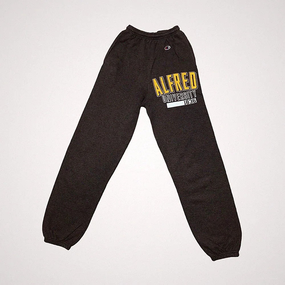 Champion Eco Fleece Alfred University 1836 Jogginghose XS