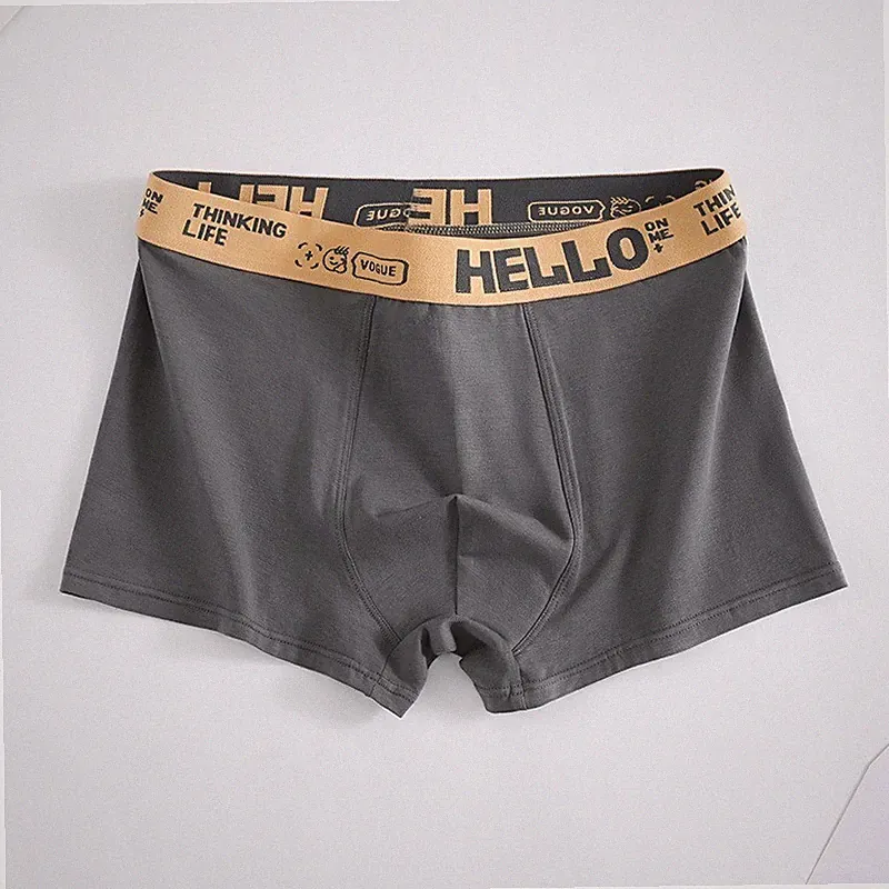 jogginghose herren sommer