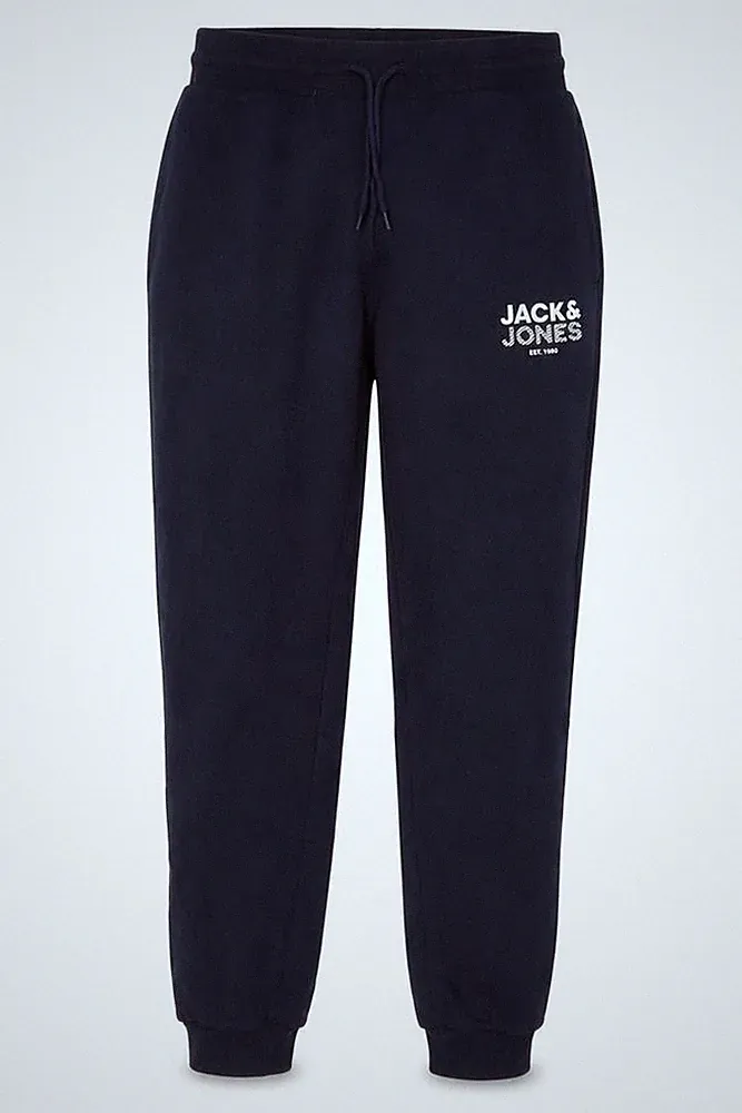 JACK & JONES Herren Jogginghose Größe L Blau Freizeit Gummibund Logo
