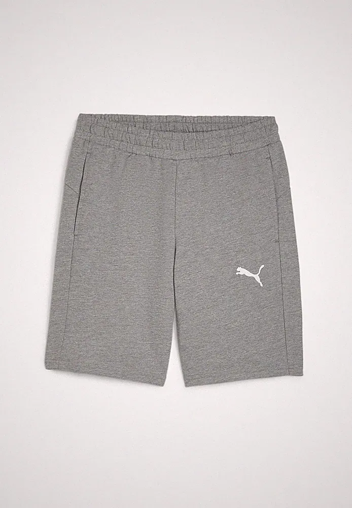 PUMA Herren teamGOAL Casuals Shorts Trainingshose 658608 Grau