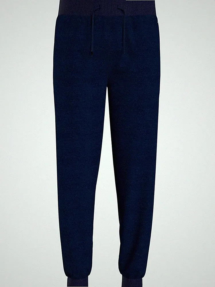 Tommy Hilfiger Herren Pant HWK Gr. S Blau UM0UM02397DW5